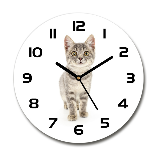 Orologio rotondo con motivo di gatto grigio
