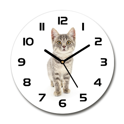Orologio rotondo con motivo di gatto grigio