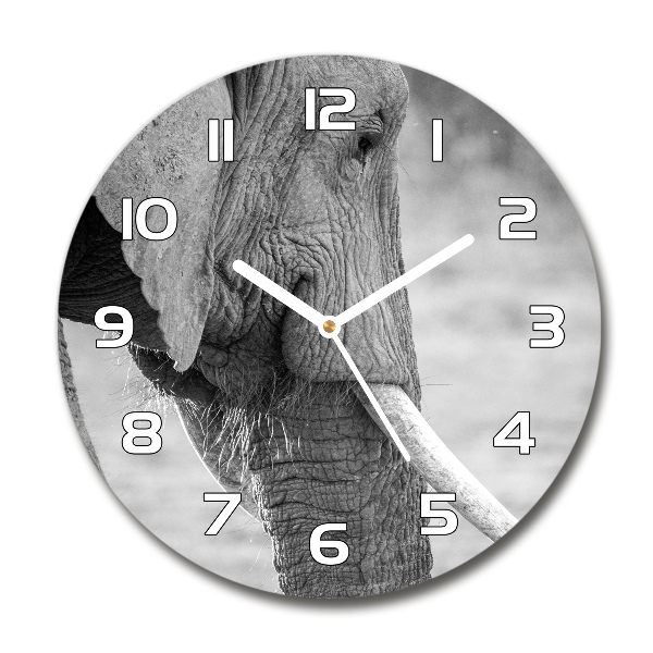 Orologio da parete rotondo con motivo elefante