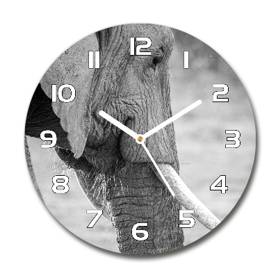 Orologio da parete rotondo con motivo elefante