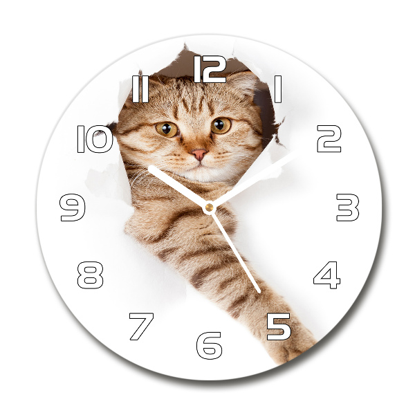 Orologio da parete rotondo con motivo a gatto