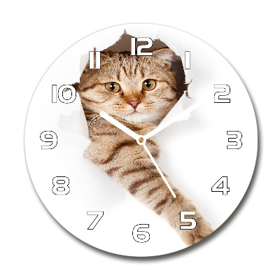Orologio da parete rotondo con motivo a gatto