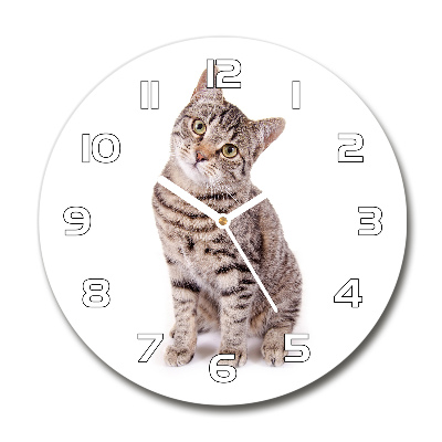 Orologio rotondo in vetro con motivo a gatto