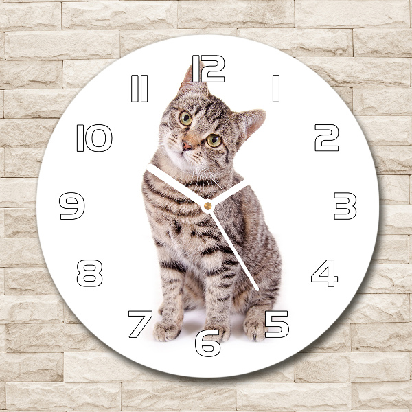 Orologio rotondo in vetro con motivo a gatto