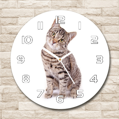 Orologio rotondo in vetro con motivo a gatto