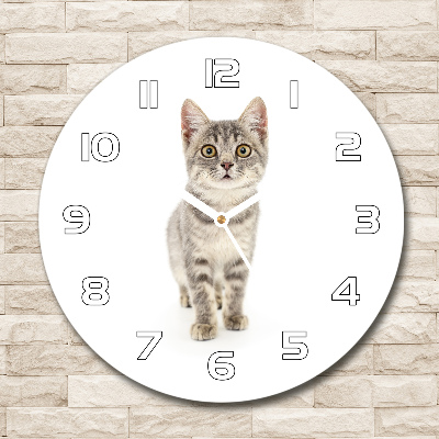 Orologio rotondo con motivo di gatto grigio