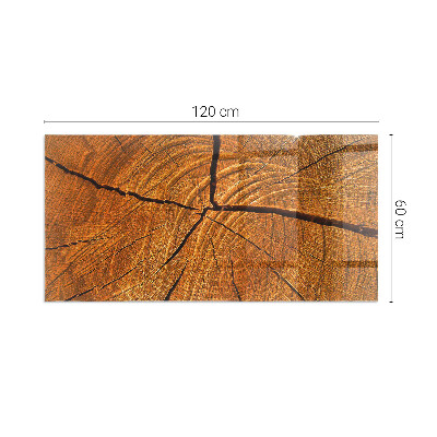 Vetro sotto stufa rettangolare Una sezione trasversale del legno con venature ben definite.
