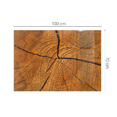 Vetro sotto stufa rettangolare Una sezione trasversale del legno con venature ben definite.