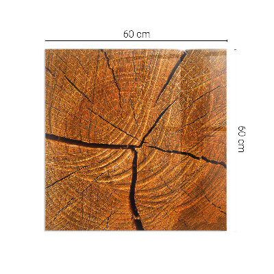 Vetro sotto stufa rettangolare Una sezione trasversale del legno con venature ben definite.