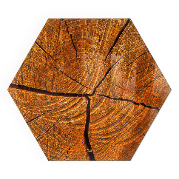 Vetro sotto stufa esagonale Legno in sezione trasversale con venature naturali