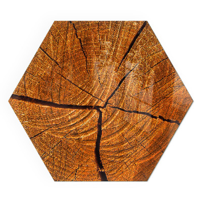 Vetro sotto stufa esagonale Legno in sezione trasversale con venature naturali