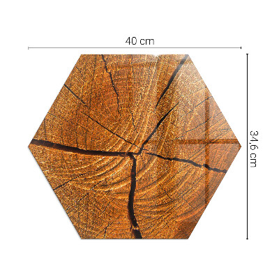 Vetro sotto stufa esagonale Legno in sezione trasversale con venature naturali