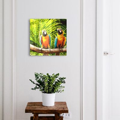 Cassetta portachiavi Uccelli tropicali