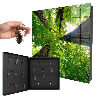 Cassetta portachiavi Cielo della foresta