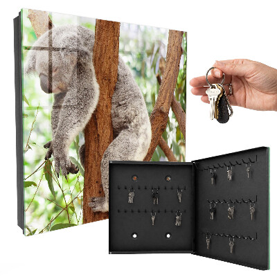 Cassetta portachiavi da muro Rilassamento del koala
