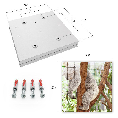 Cassetta portachiavi da muro Rilassamento del koala