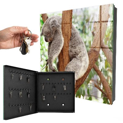 Cassetta portachiavi da muro Rilassamento del koala