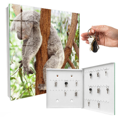 Cassetta portachiavi da muro Rilassamento del koala