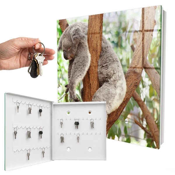 Cassetta portachiavi da muro Rilassamento del koala