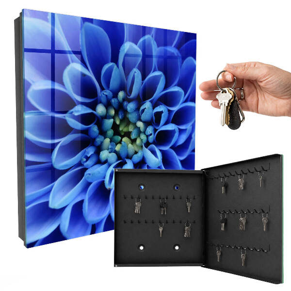 Armadietto portachiavi da parete Fiore blu
