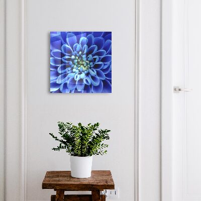 Armadietto portachiavi da parete Fiore blu
