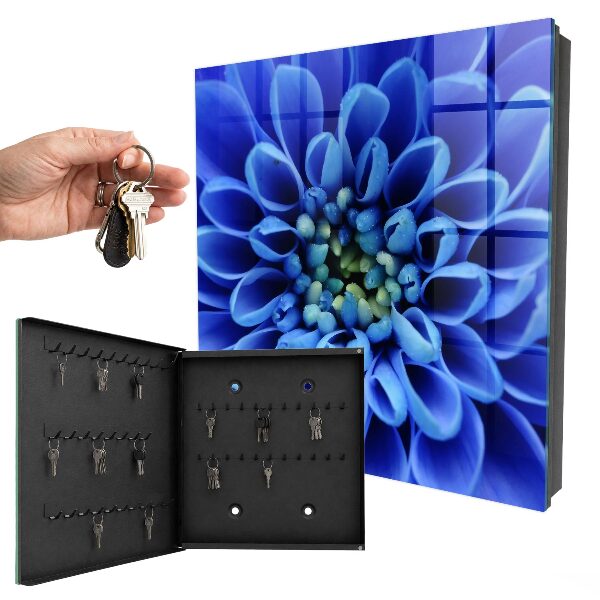 Armadietto portachiavi da parete Fiore blu