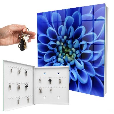 Armadietto portachiavi da parete Fiore blu