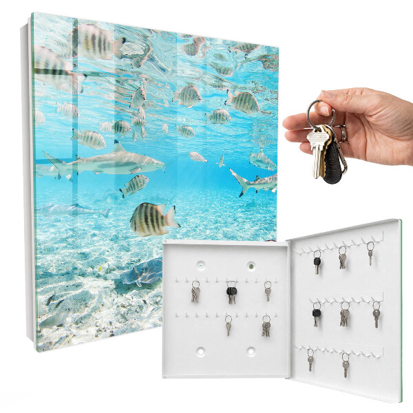 Cassetta portachiavi da muro Vita acquatica