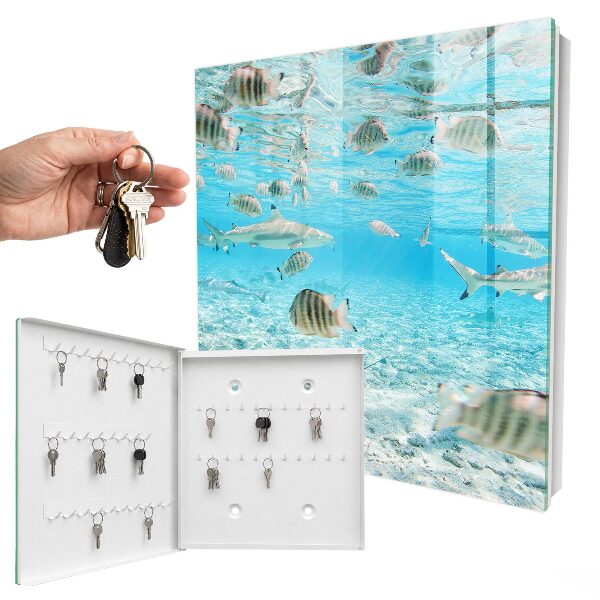Cassetta portachiavi da muro Vita acquatica