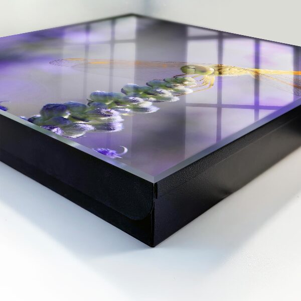 Cassetta portachiavi Libellula su un fiore