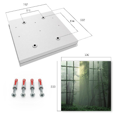 Cassetta portachiavi da muro Nebbia forestale