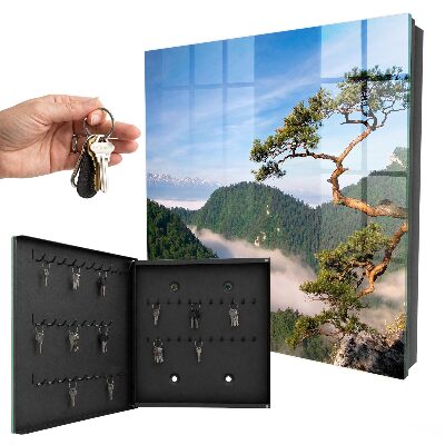 Cassetta portachiavi da muro Paesaggio montano