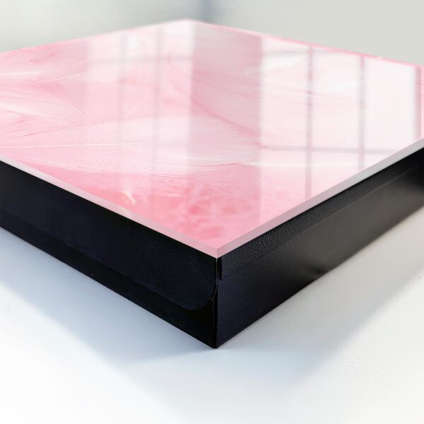 Armadietto portachiavi da parete Piume rosa