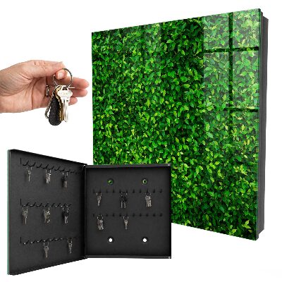 Cassetta portachiavi da muro Giardino verde
