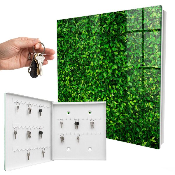Cassetta portachiavi da muro Giardino verde