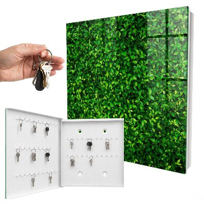 Cassetta portachiavi da muro Giardino verde