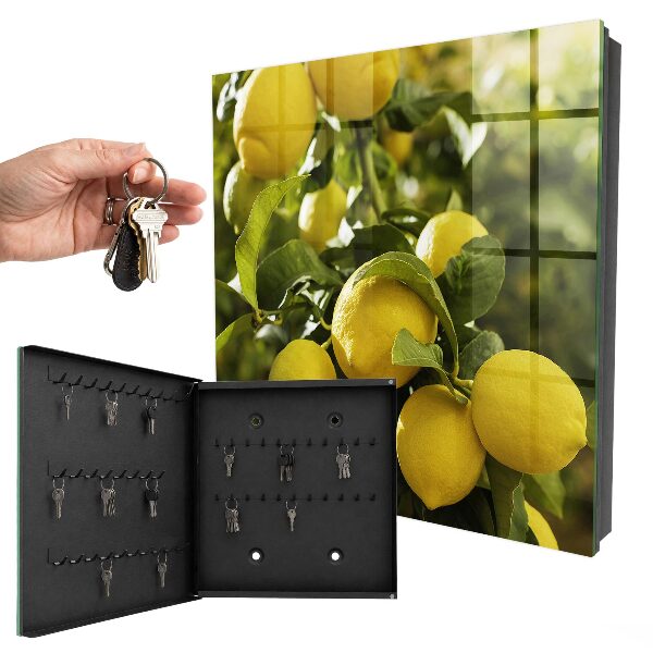 Cassetta portachiavi da muro Freschezza succosa