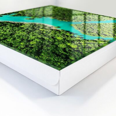 Armadietto portachiavi da parete Paradiso verde