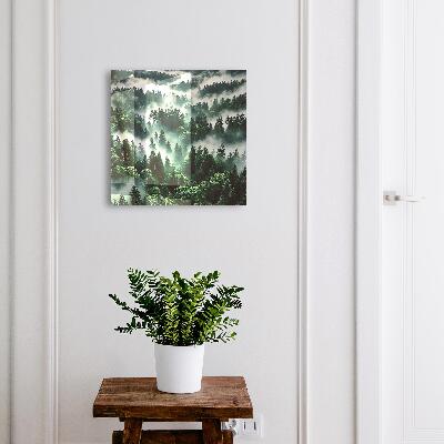 Cassetta portachiavi Foresta nebbiosa