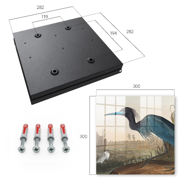 Armadietto portachiavi da parete Uccello esotico