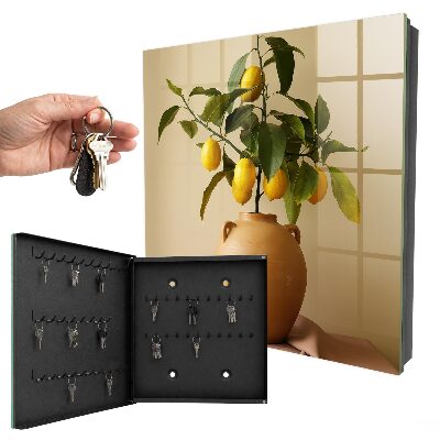 Armadietto portachiavi da parete Limoni in una brocca
