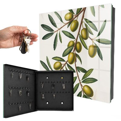 Cassetta portachiavi da muro Olive su un ramo