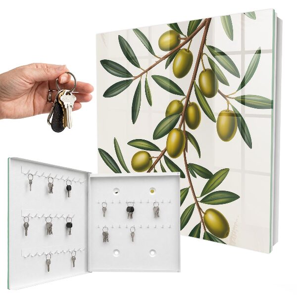Cassetta portachiavi da muro Olive su un ramo