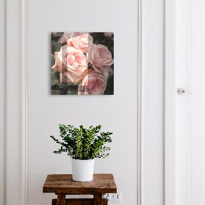 Cassetta portachiavi da muro Rose rosa