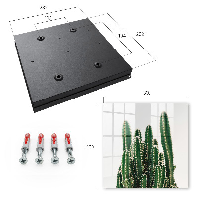 Armadietto portachiavi da parete Cactus verdi