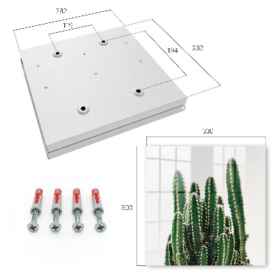 Armadietto portachiavi da parete Cactus verdi