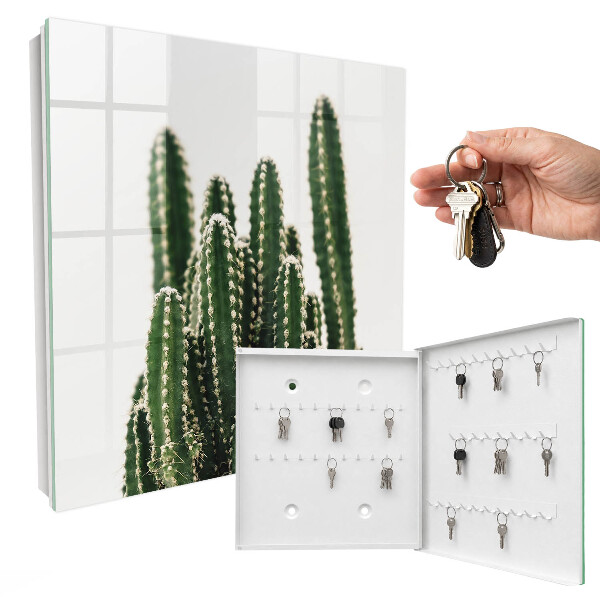 Armadietto portachiavi da parete Cactus verdi