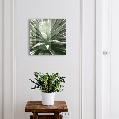 Cassetta portachiavi da muro Agave