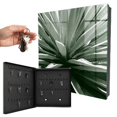Cassetta portachiavi da muro Agave