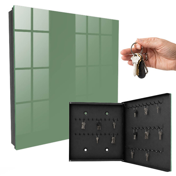 Armadietto portachiavi da parete Verde tenue